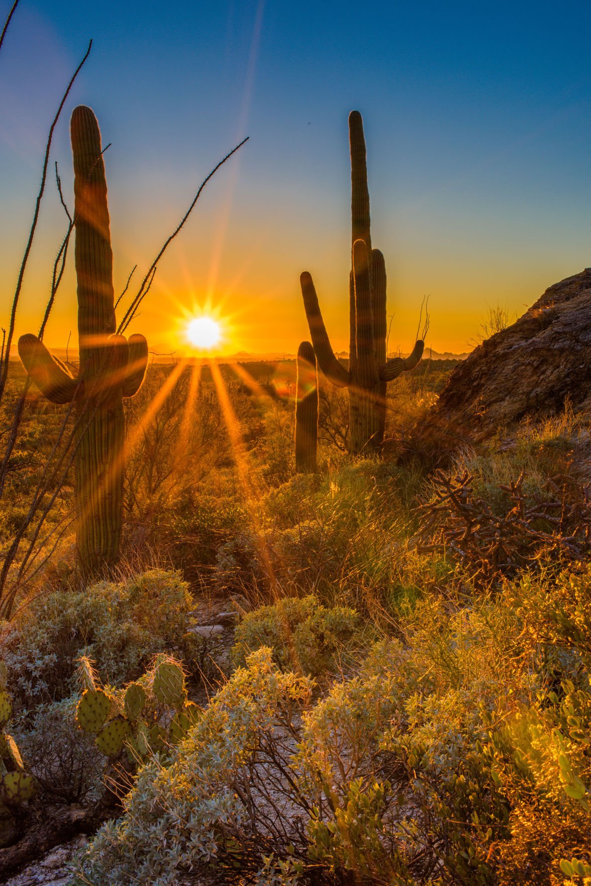Tucson Sunsets